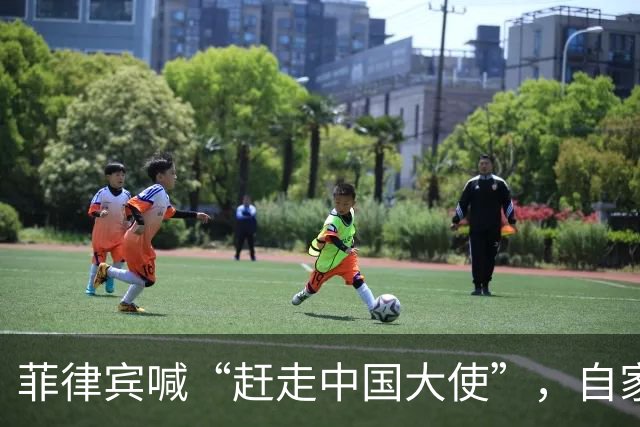 菲律宾喊“赶走中国大使”，自家人先拍桌子：等于把全国推下悬崖